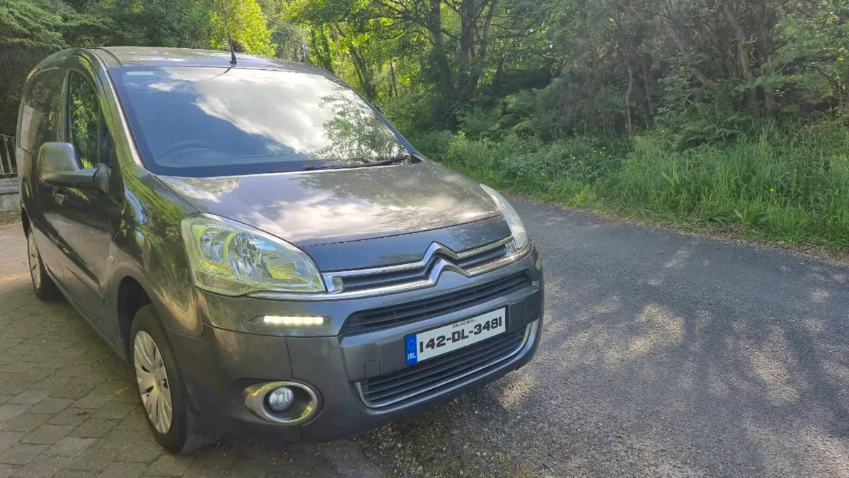 2014 Citreon Berlingo - Image 1