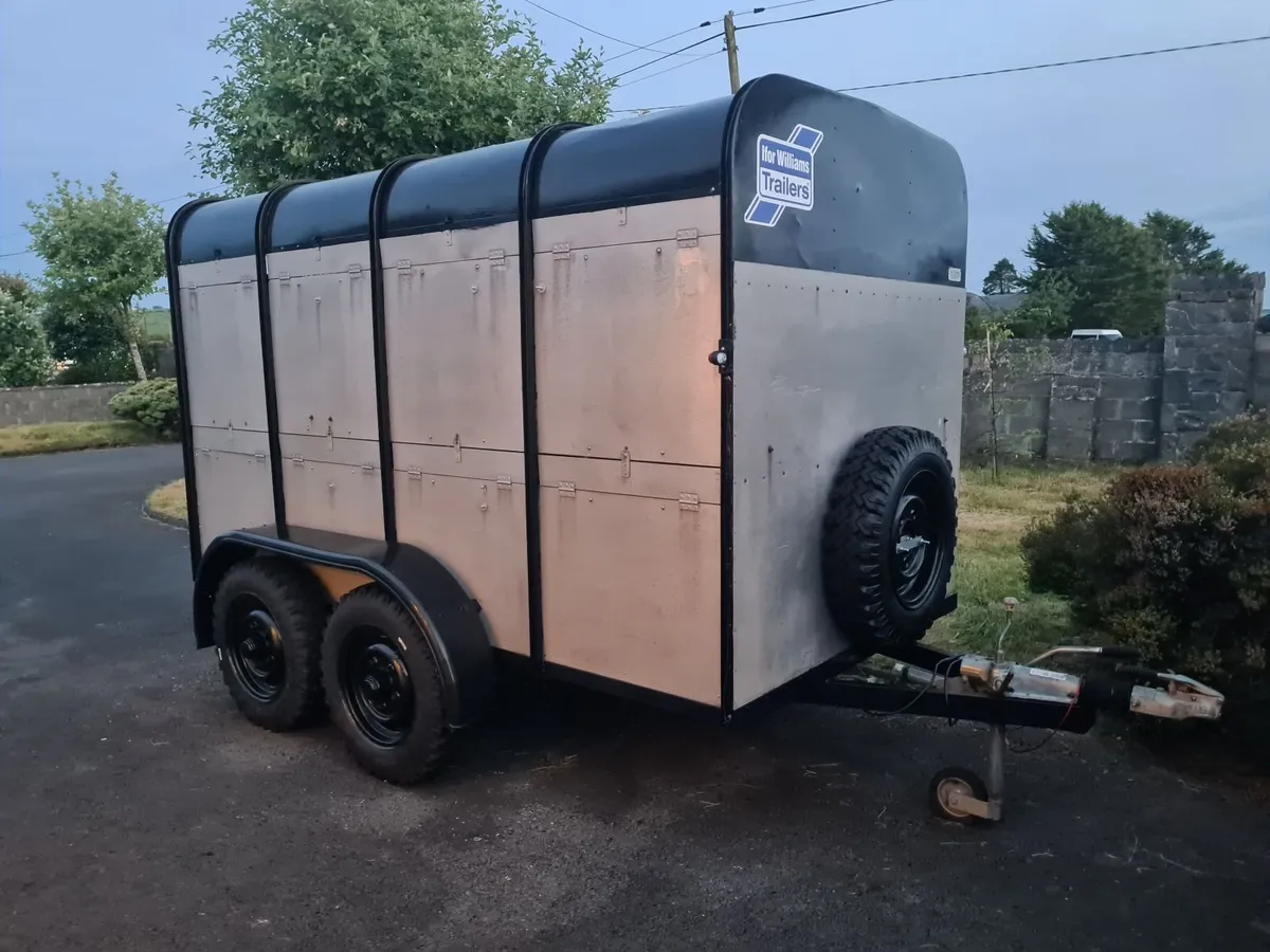 ifor williams cattle livestock trailer 10 x 5 foot - Image 2