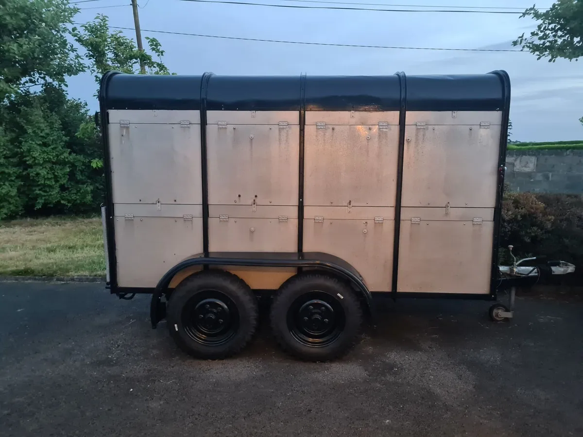 ifor williams cattle livestock trailer 10 x 5 foot - Image 3