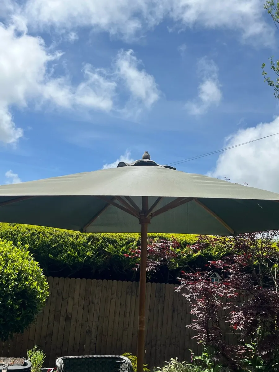 Garden parasol - Image 1