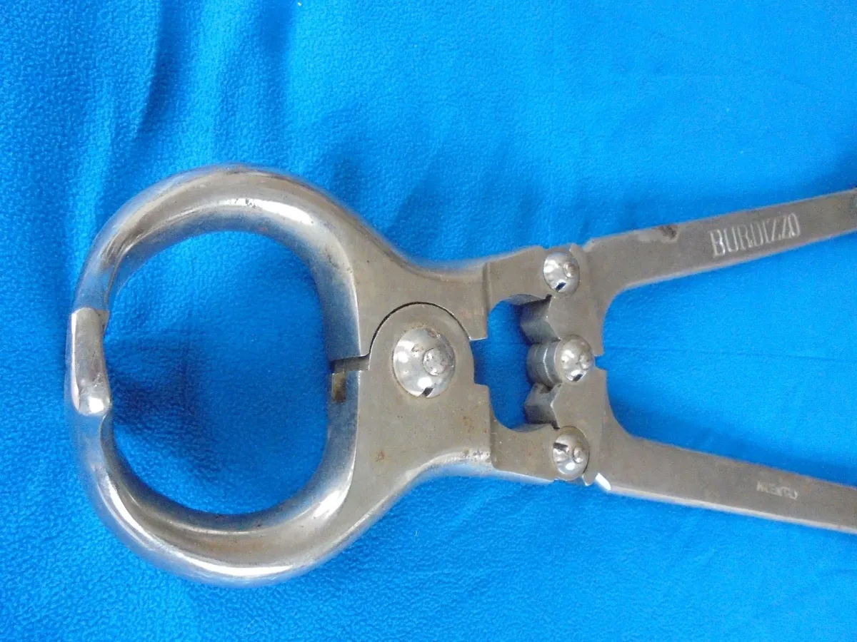 Burdizzo - Image 3