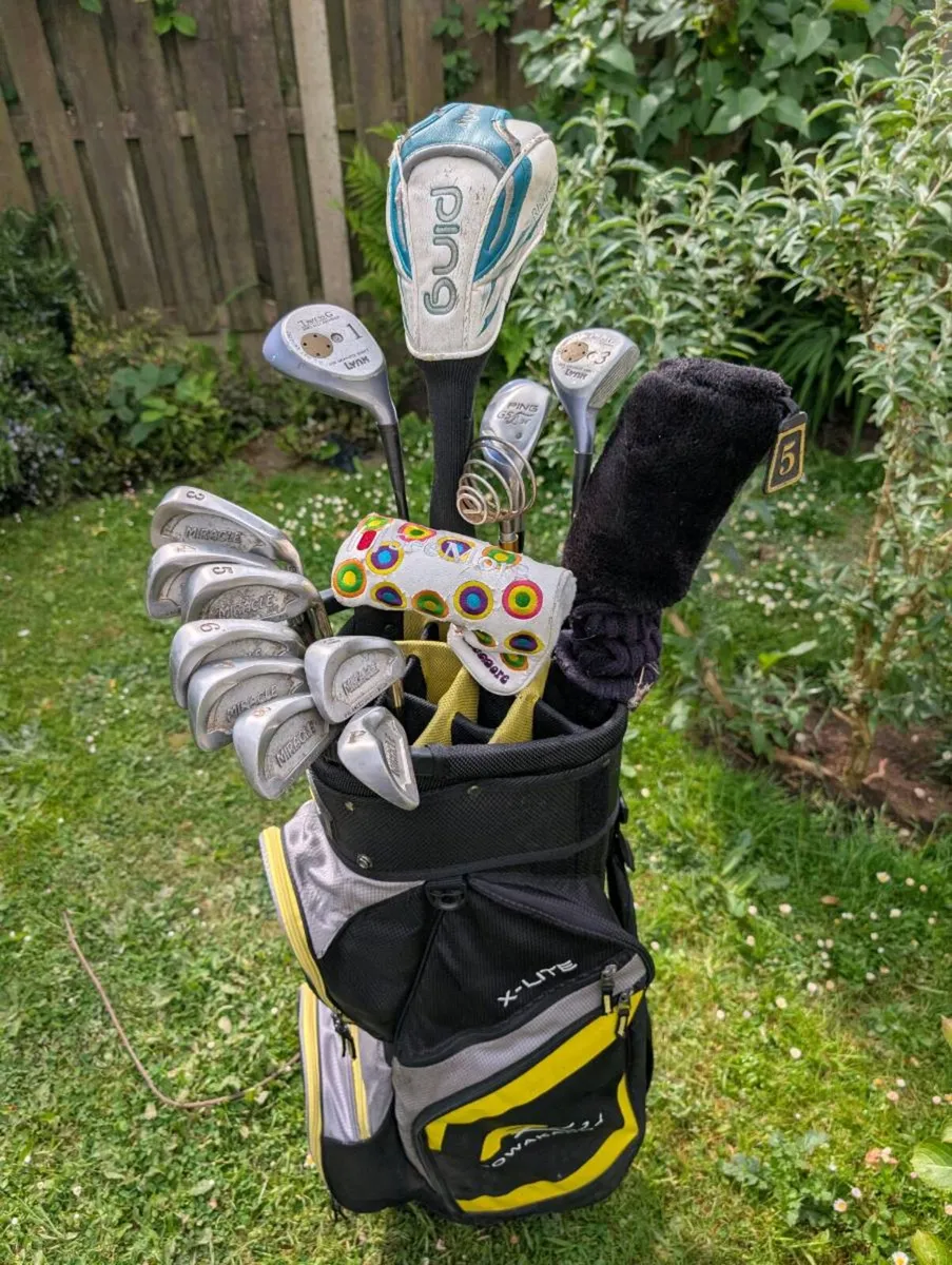 Gorgeous glitter effect ladies Golf clubs ping etc - Image 1