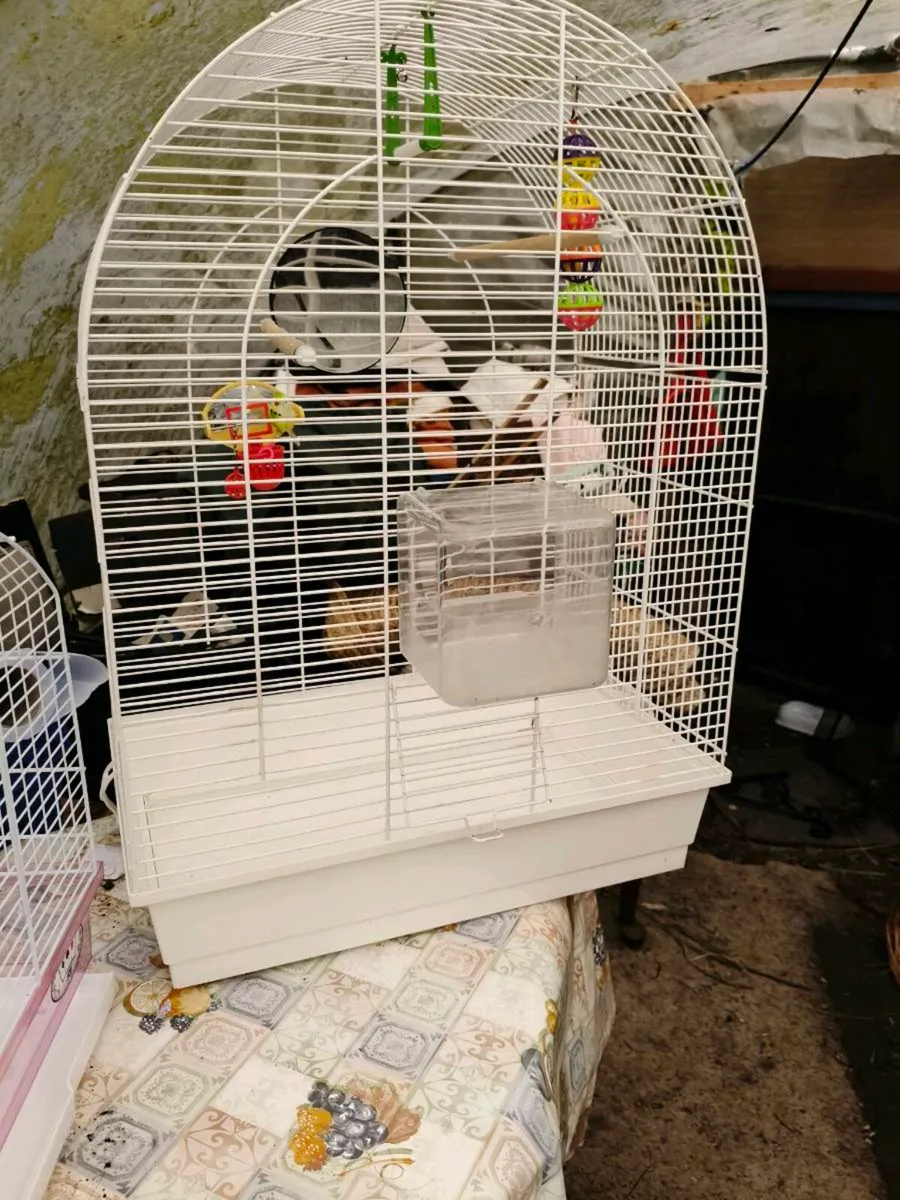 Bird cages 45 both - Image 2