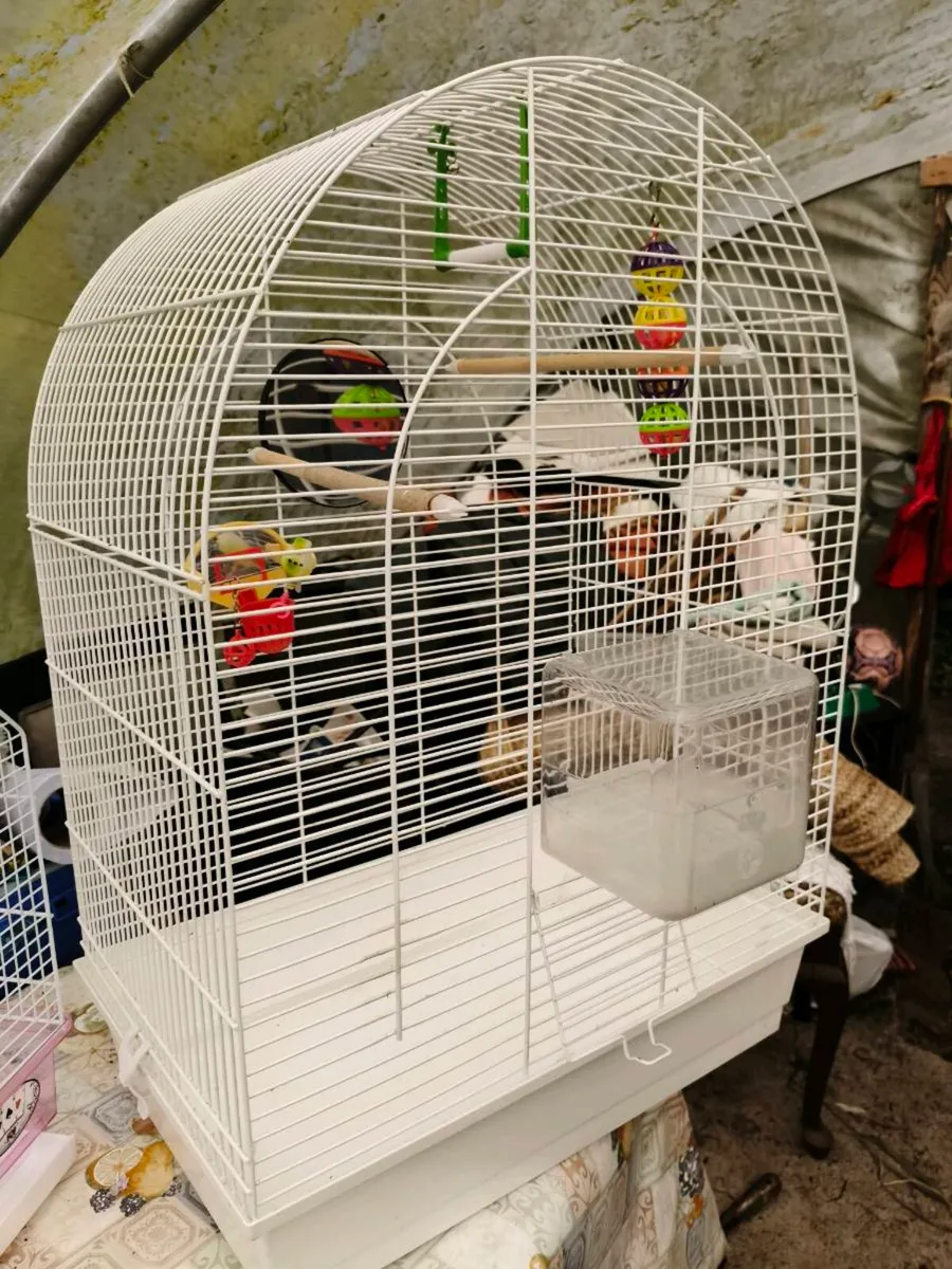 Bird cages 45 both - Image 3