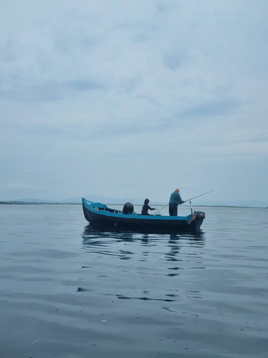 Boat, curragh round stone ,orkey ,red, bay o sulli - Image 1