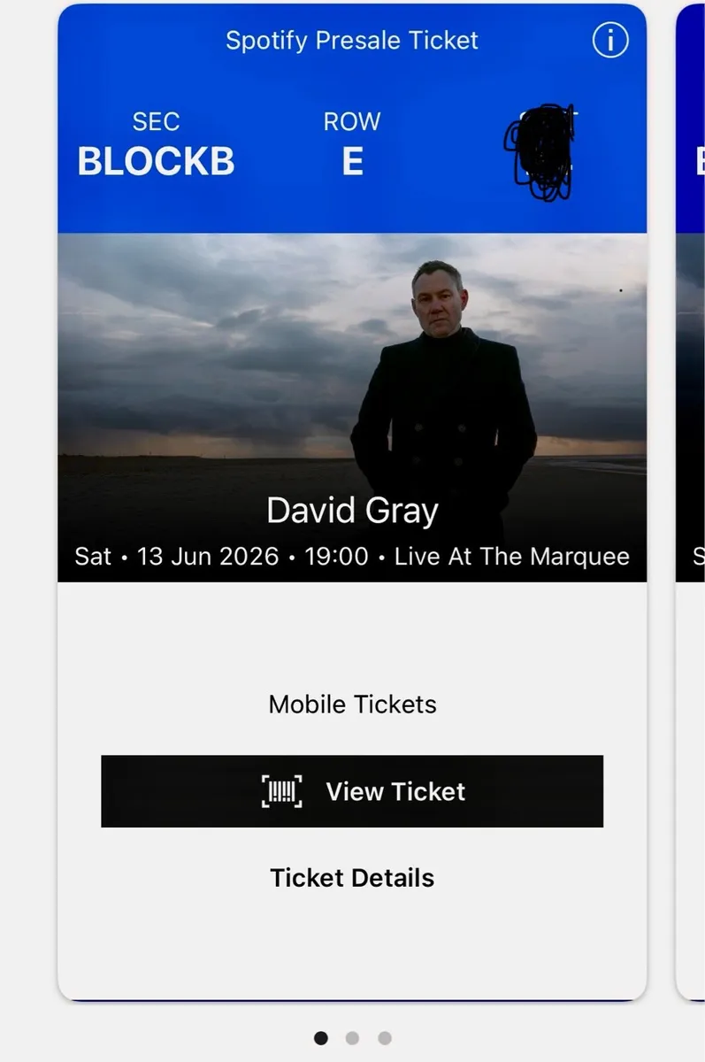3 X David Gray 13 June Live in the Marquee