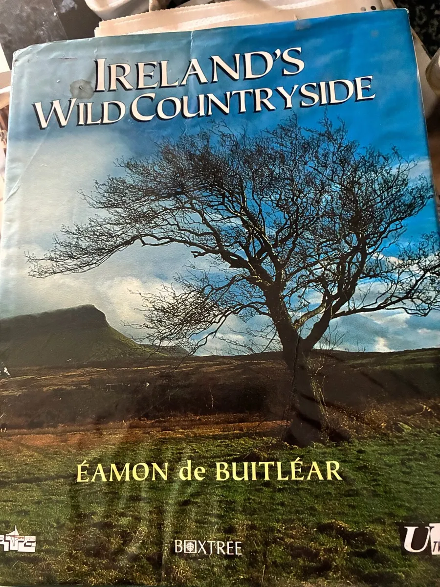 Ireland’s Wild Countryside - Image 1