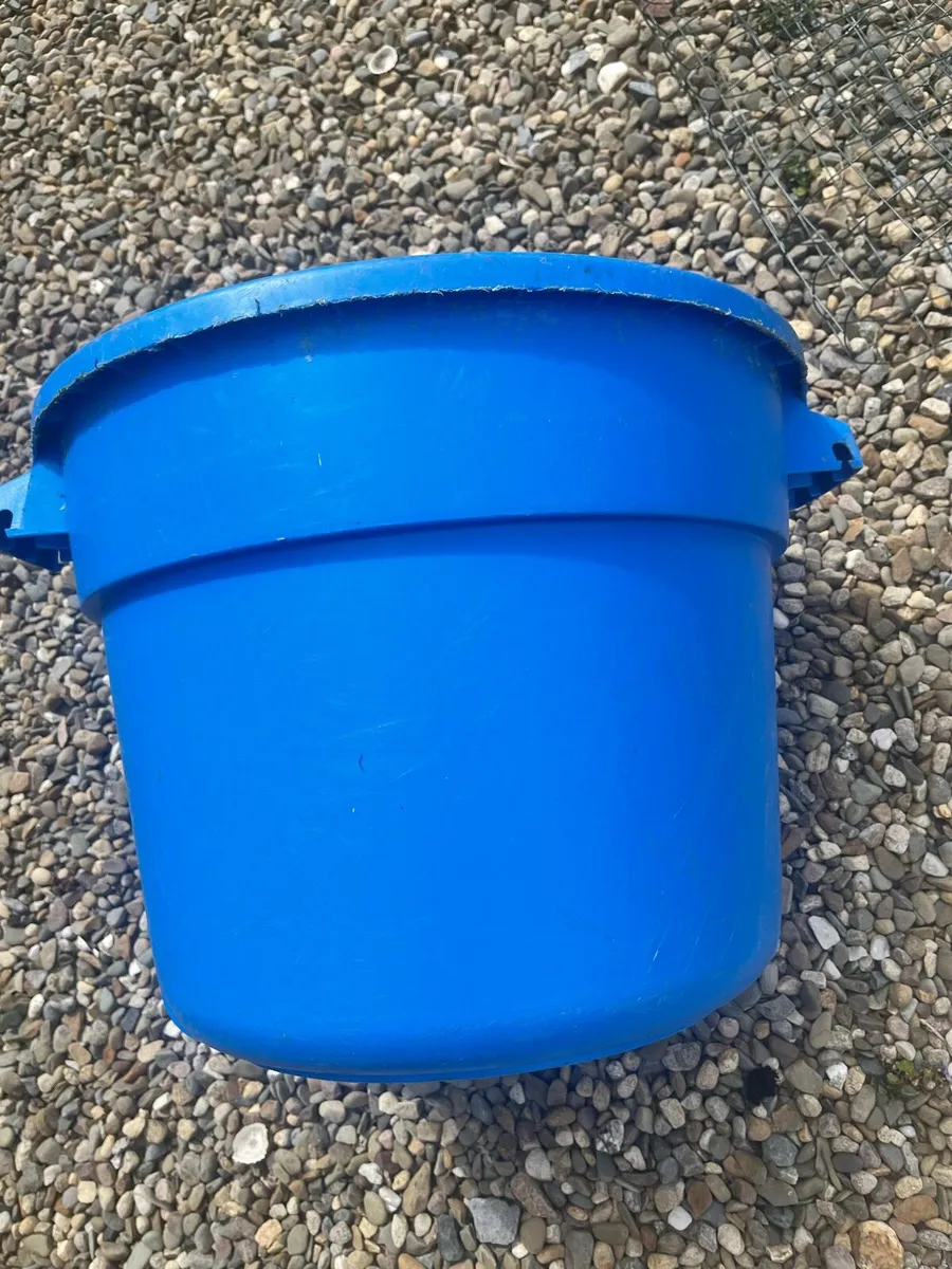 Container - Image 1