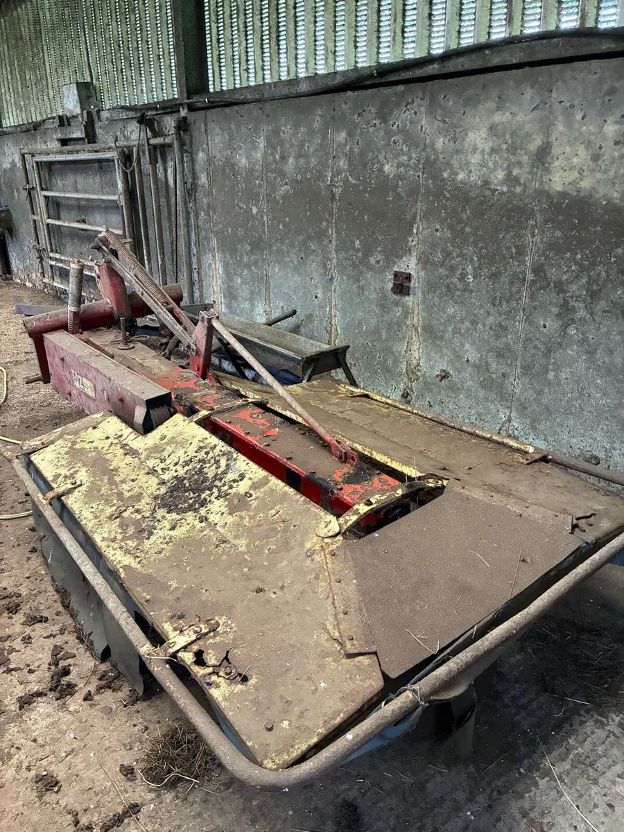 Mower - Image 2