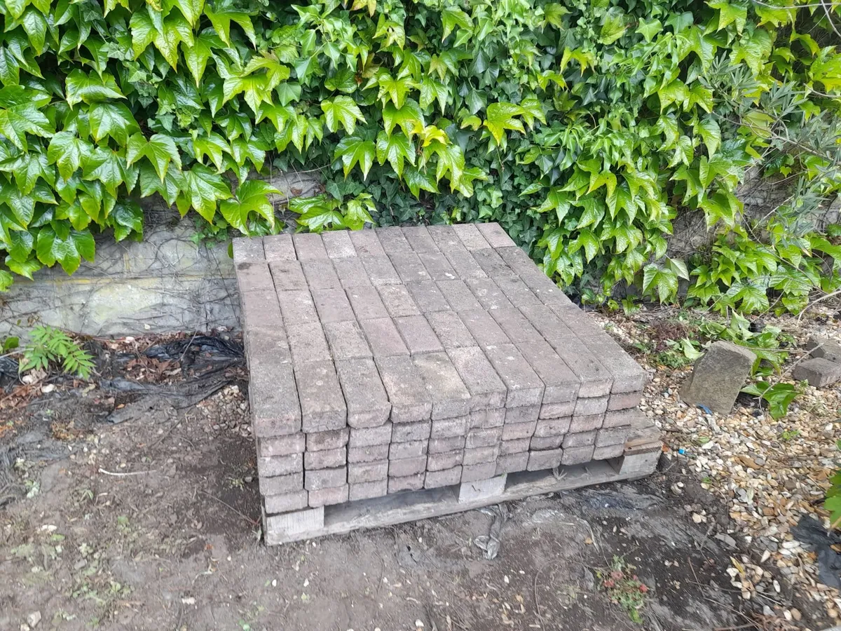 Garden Bricks - Great Condition - Only 1e Each - Image 3