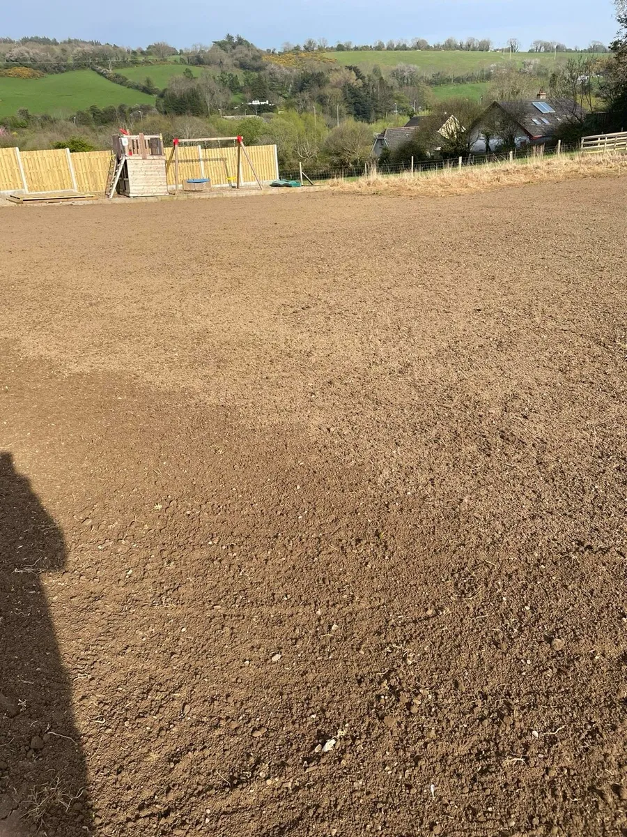 Lawn seeding - Image 2