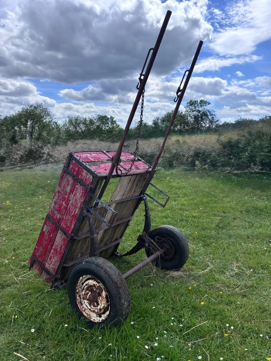 Donkey cart - Image 1