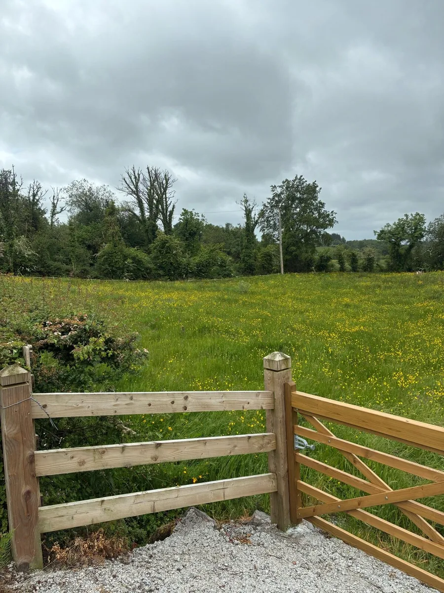 Field for Grazing - Image 1