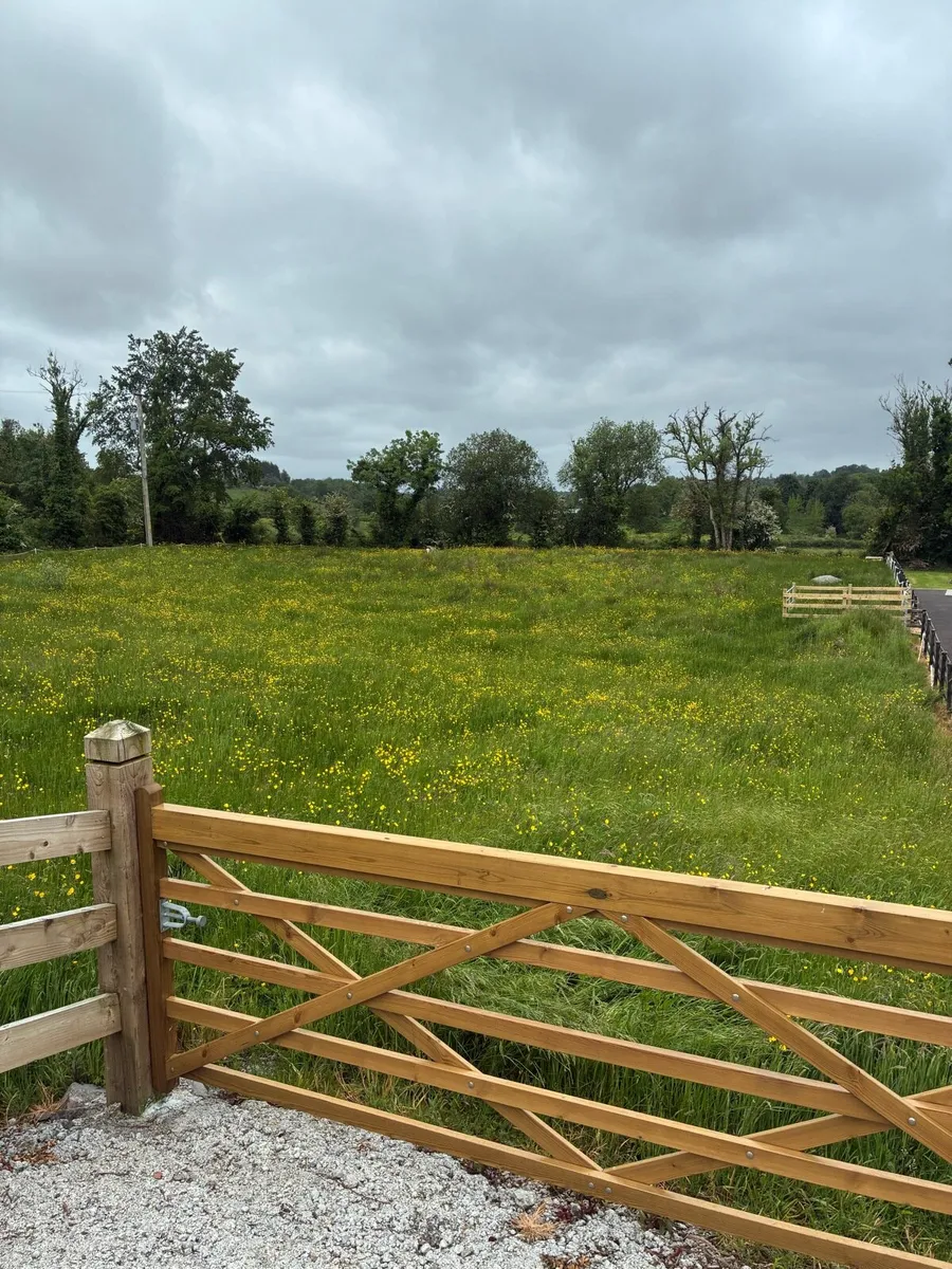 Field for Grazing - Image 2