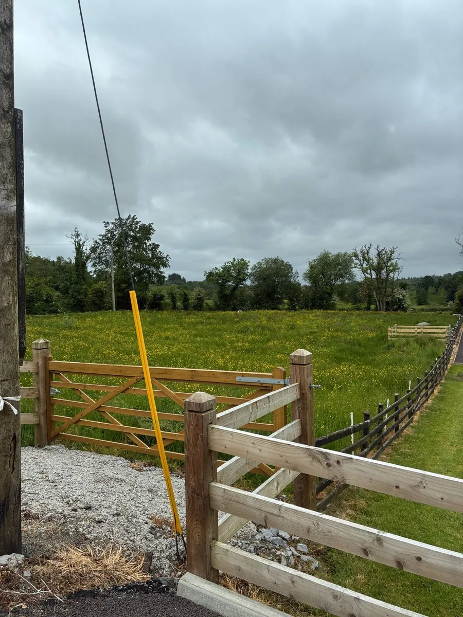 Field for Grazing - Image 3