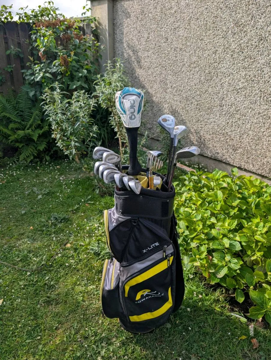 Gorgeous glitter effect ladies Golf clubs ping etc - Image 2