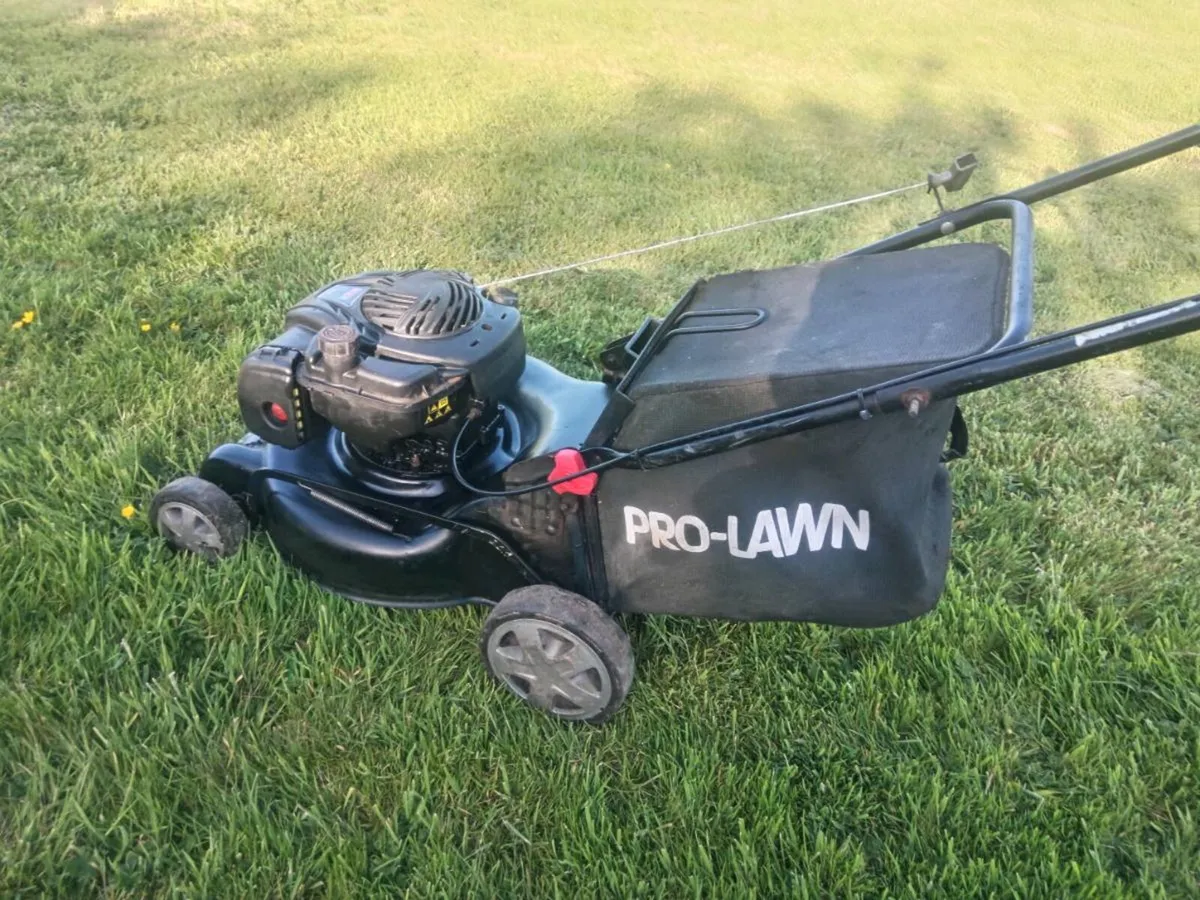 Lawnmowers - Image 4
