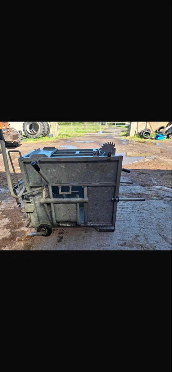 Calf dehorning crate - Image 2