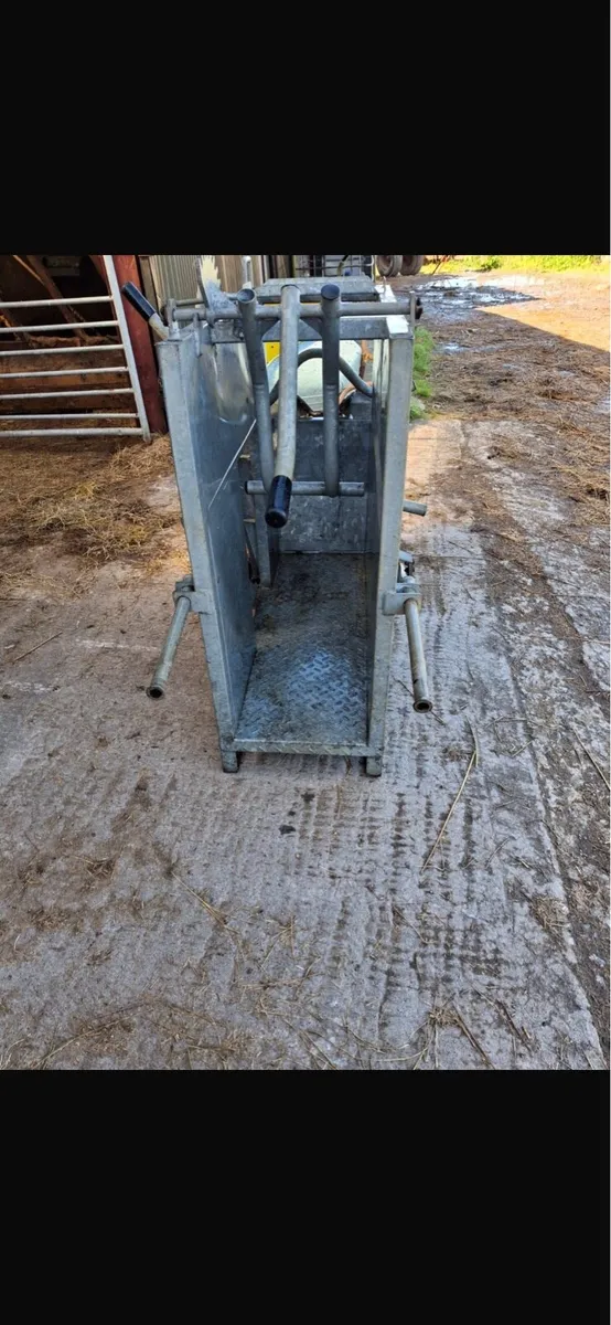 Calf dehorning crate - Image 1