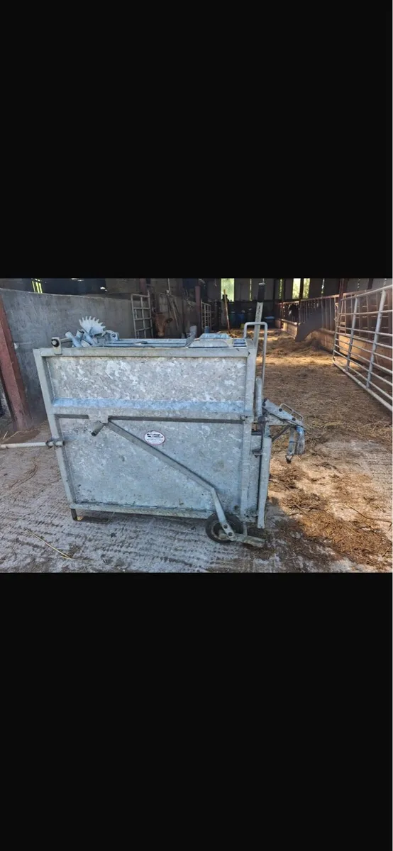 Calf dehorning crate - Image 4