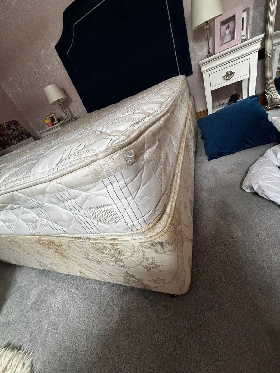 Bed - Image 2