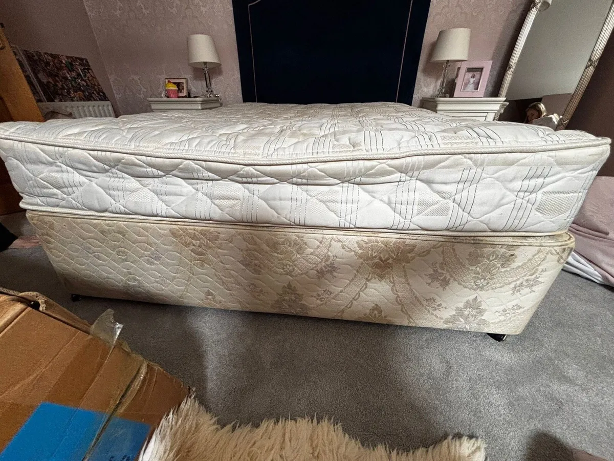 Bed - Image 4