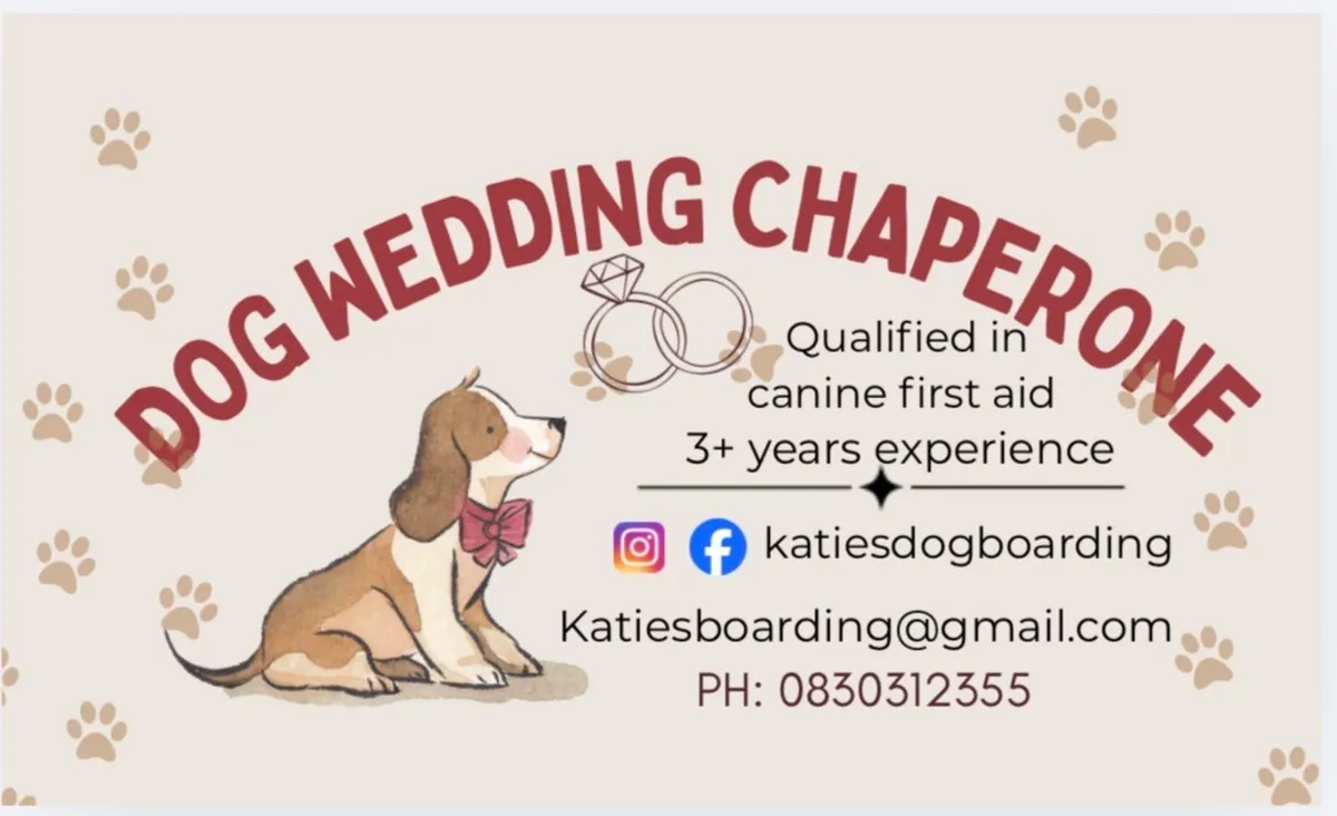 Dog Wedding Chaperone - Image 1