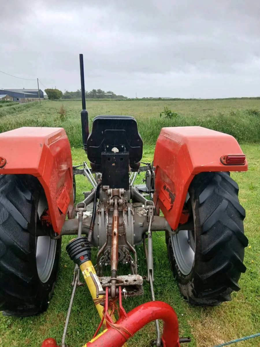 Mf 135 - Image 2