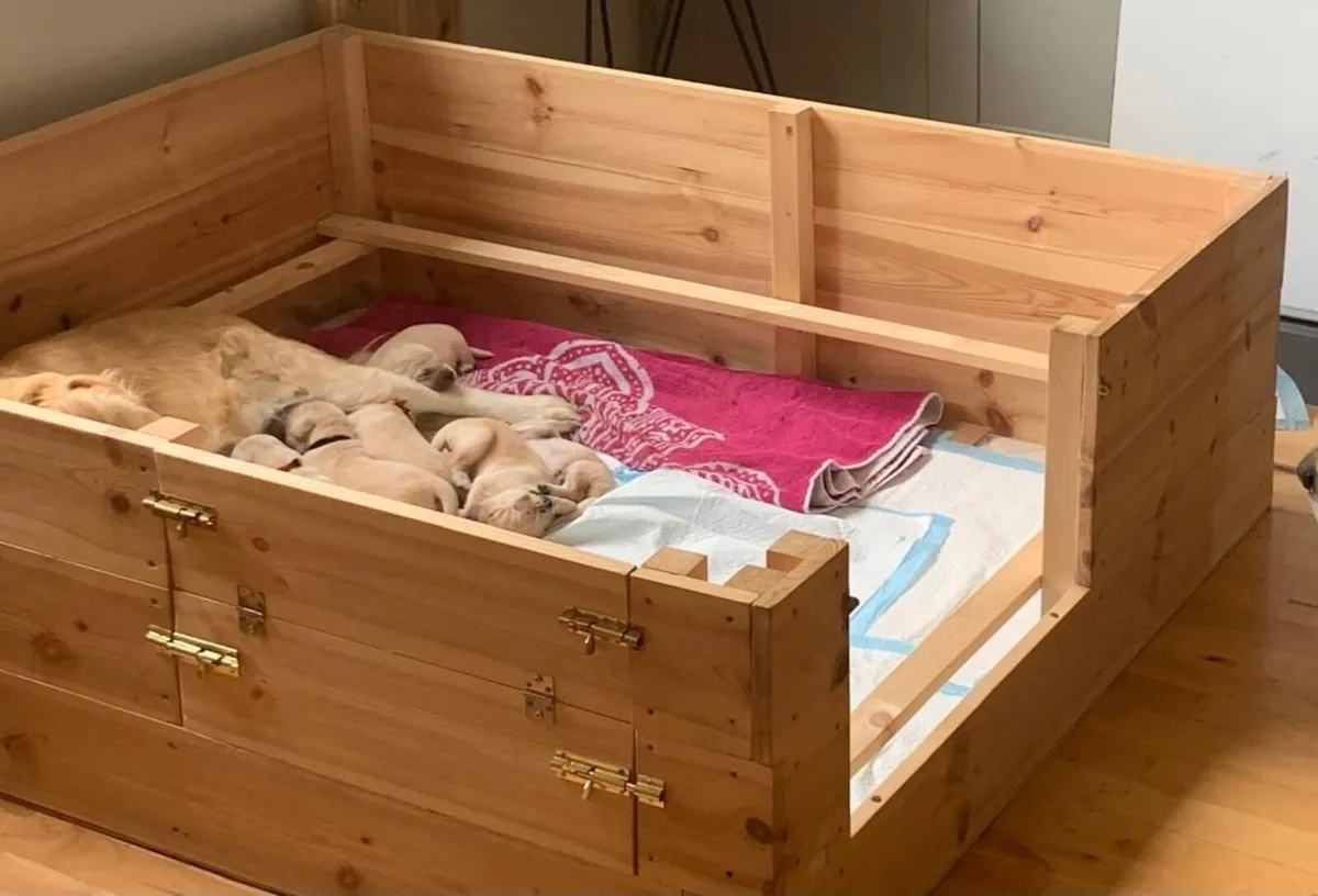 Whelping Box - Image 3