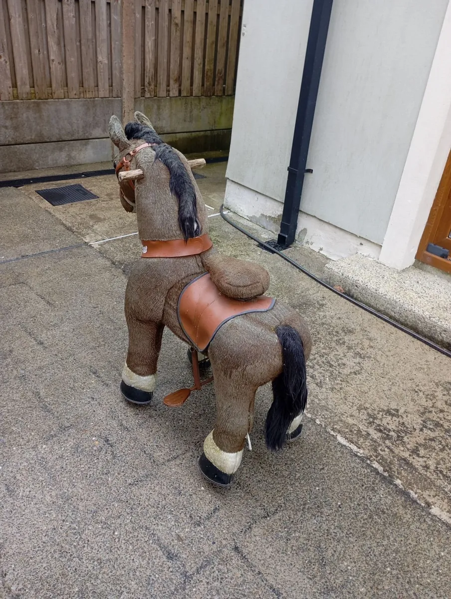 Pony cycle - Image 1