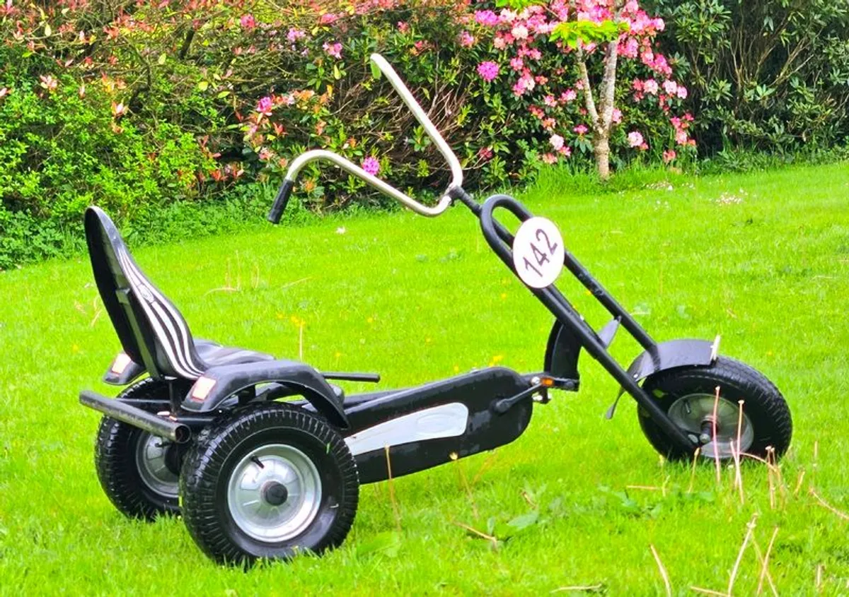 Berg Go Kart Trike - Image 2