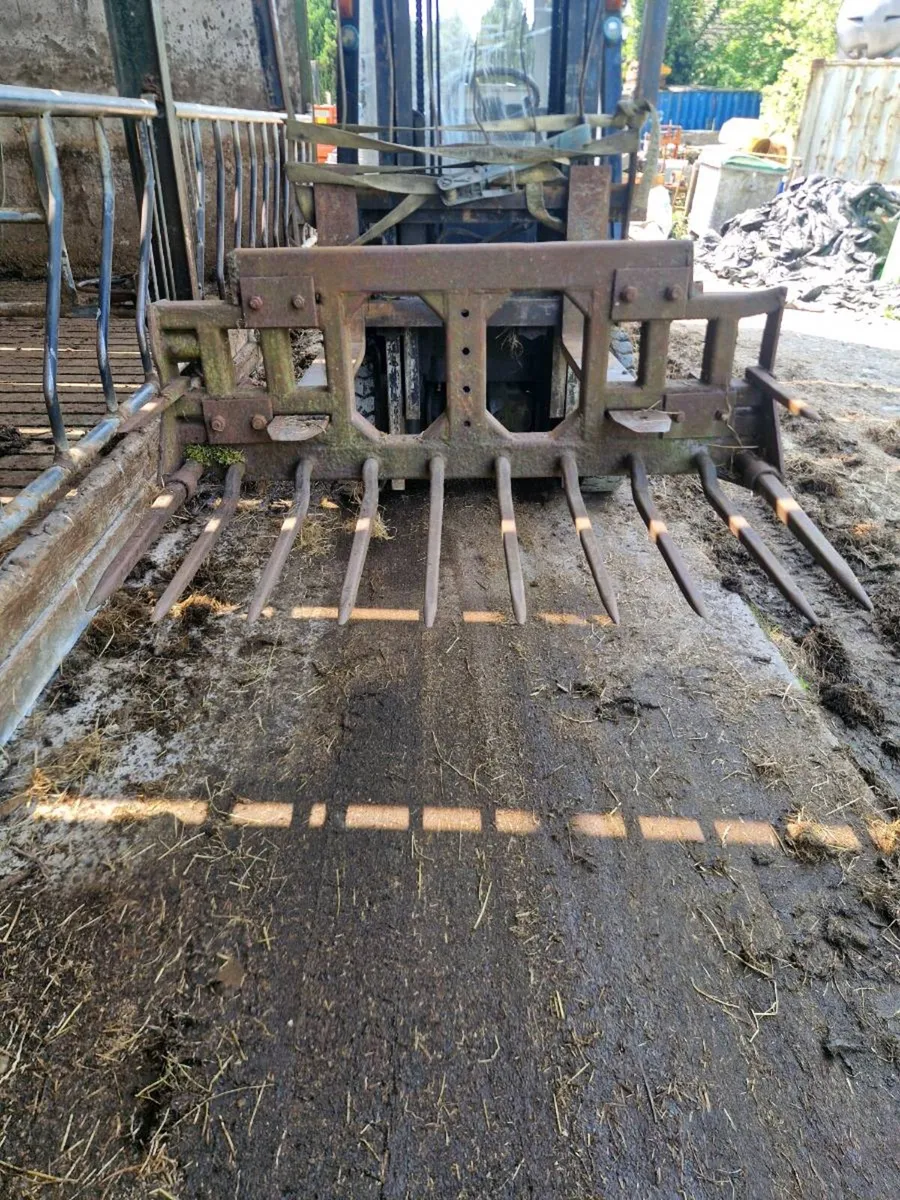 Loader grape - Image 1