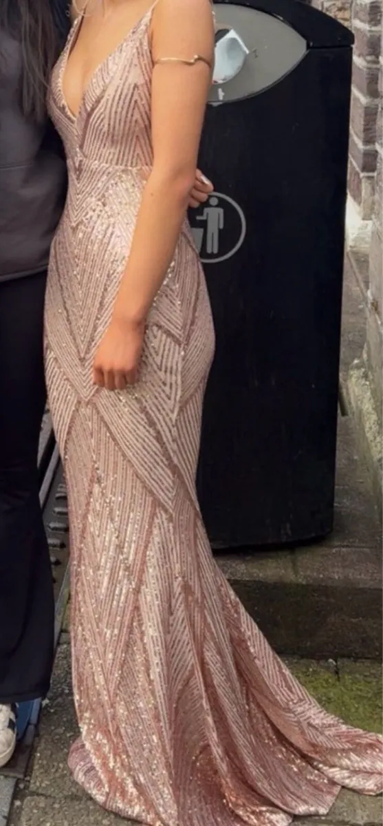 Ty ball/Debs dress - Image 2