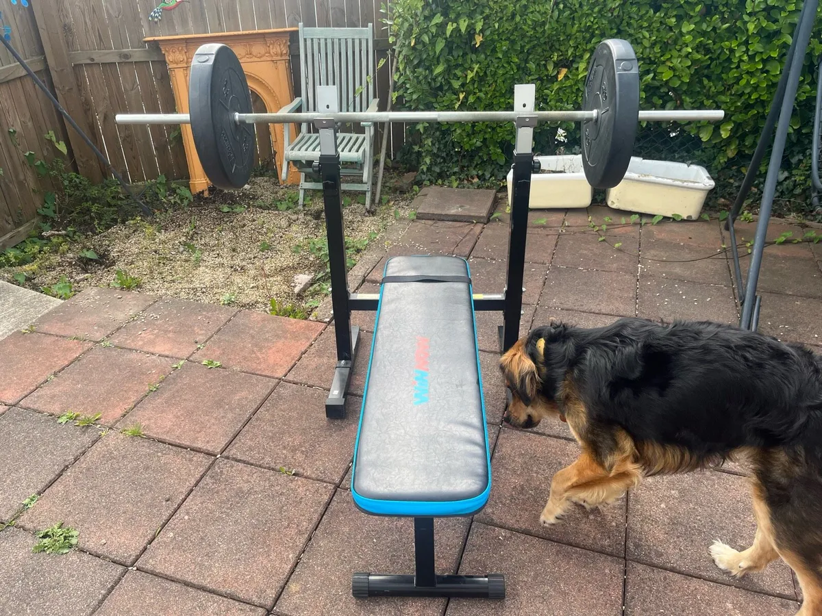 Gym Equipment - Image 2