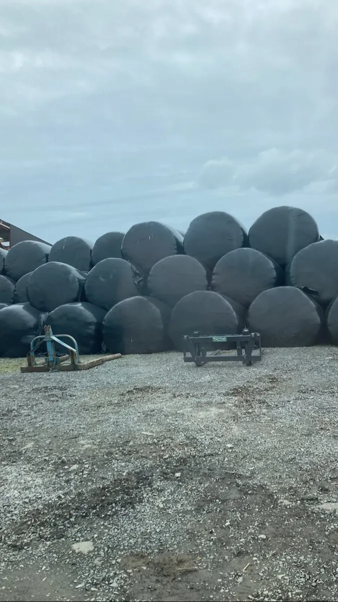 Bales - Image 1