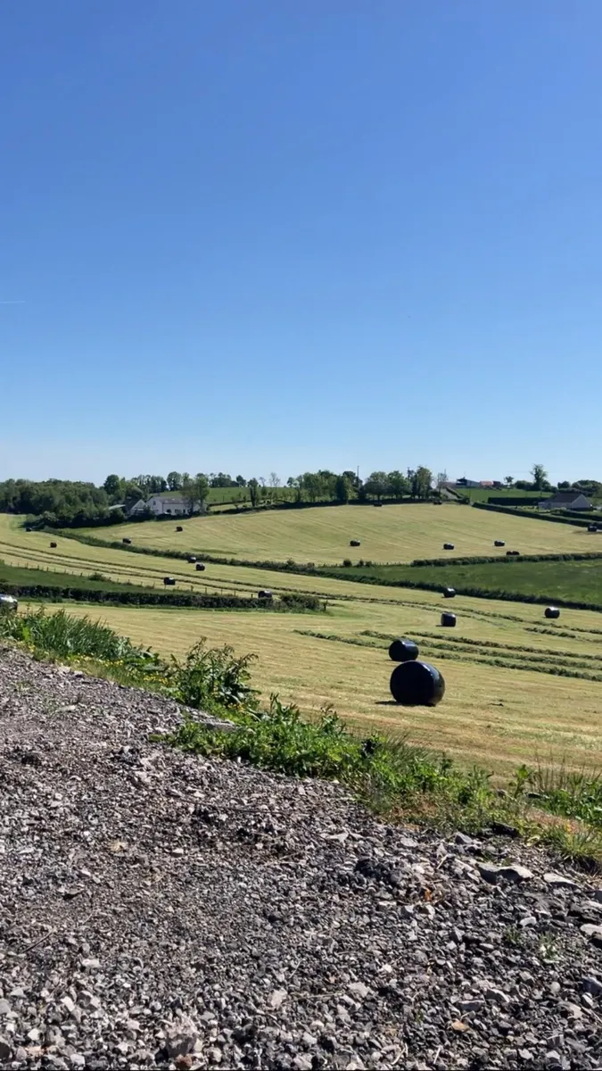 Bales - Image 2