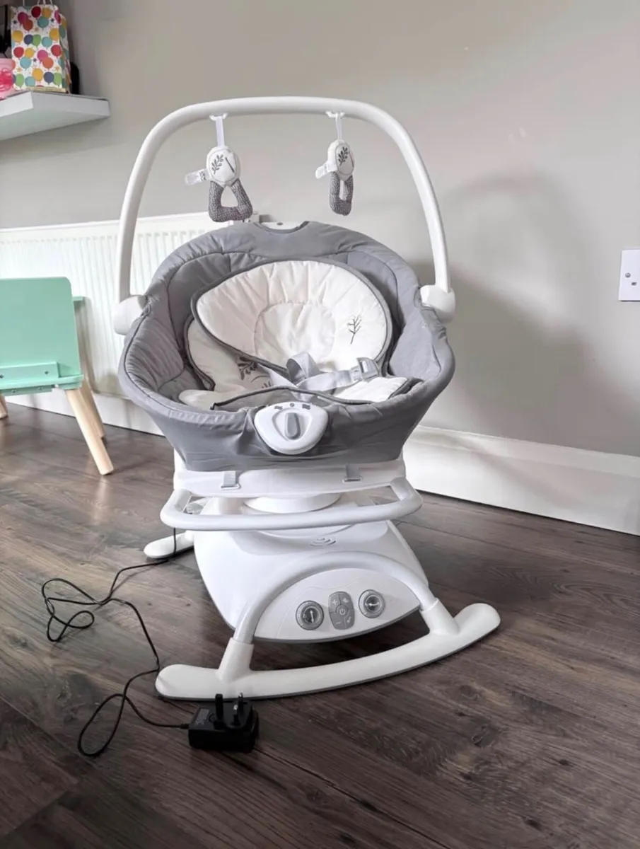 Baby Swing and Rocker Fern