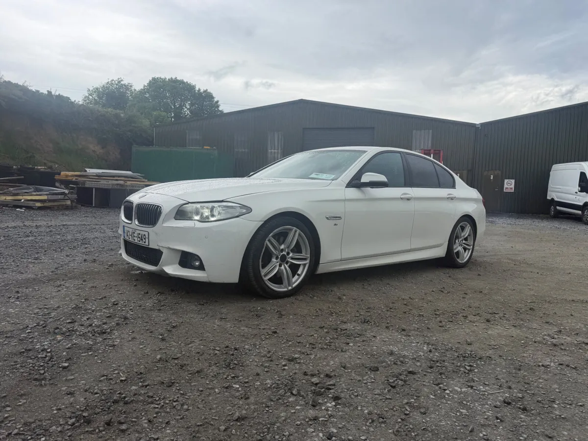 BMW 525D Skoda  M spot - Image 1