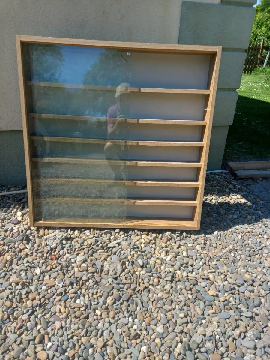 Display Case - Image 2