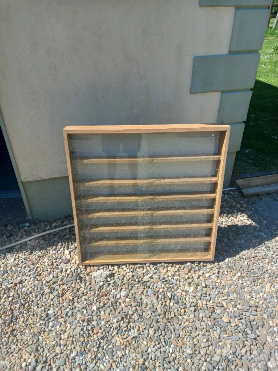 Display Case - Image 4
