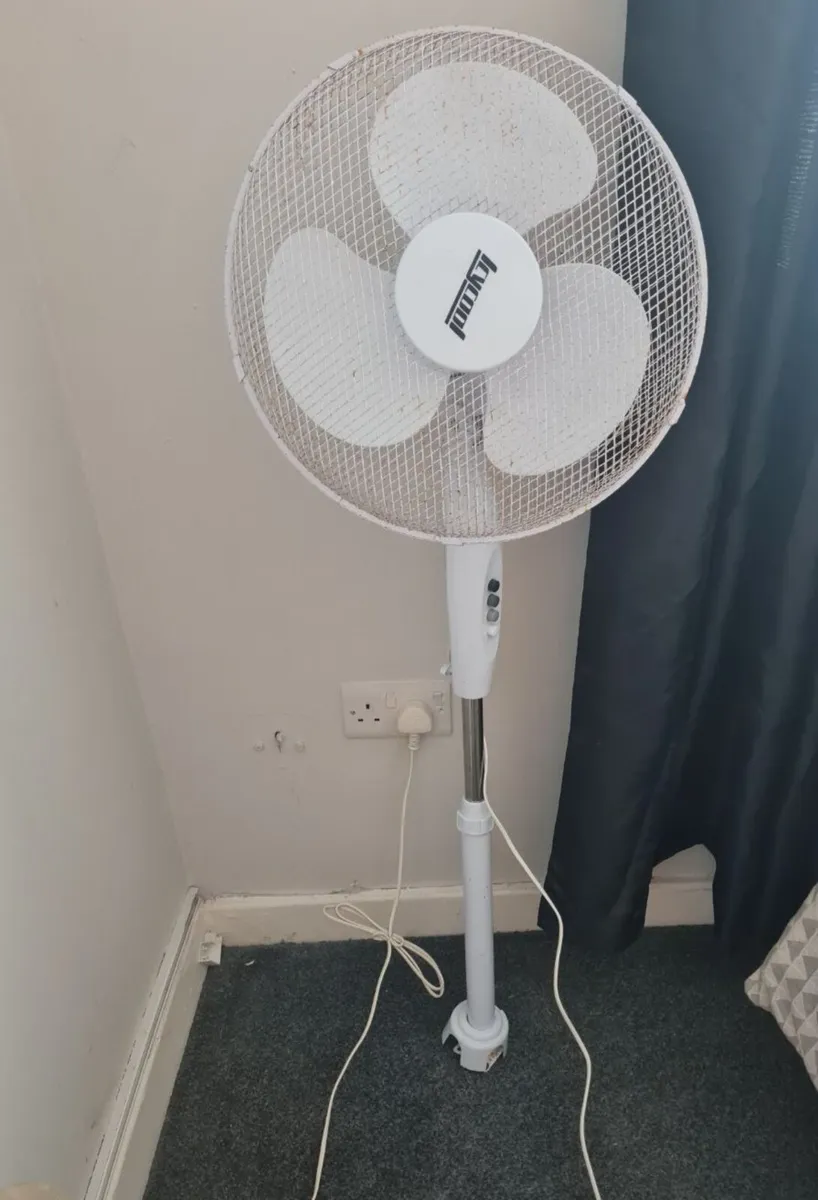 Fan