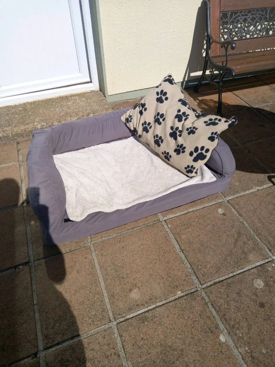 Large dog bed - Image 1