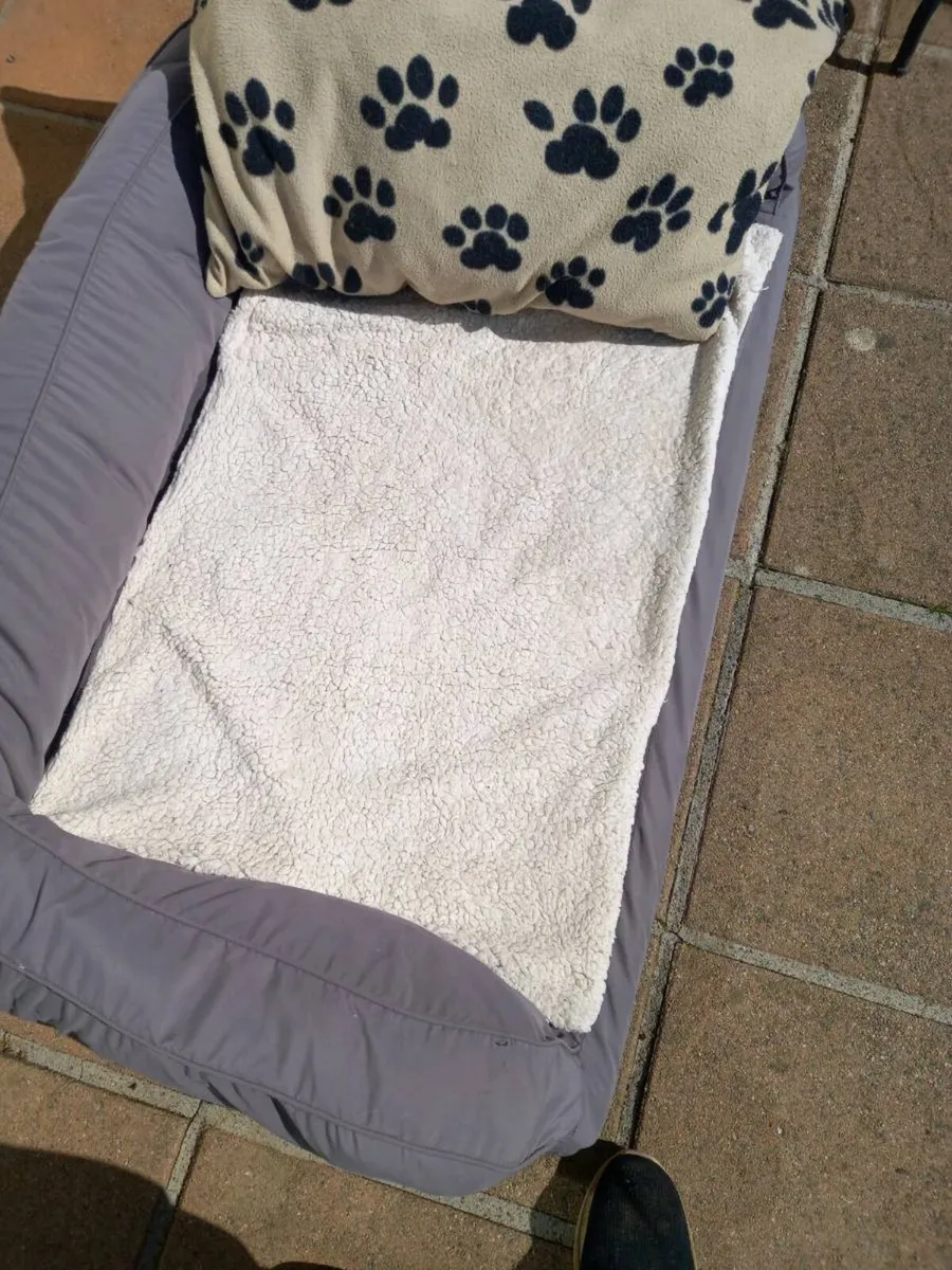 Large dog bed - Image 2