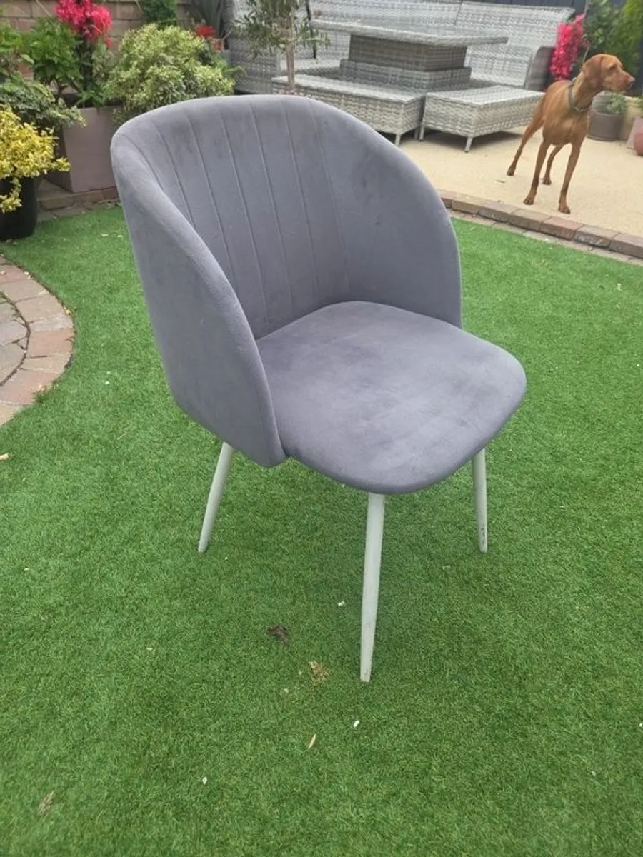 Dining room chairs x6 - Image 2