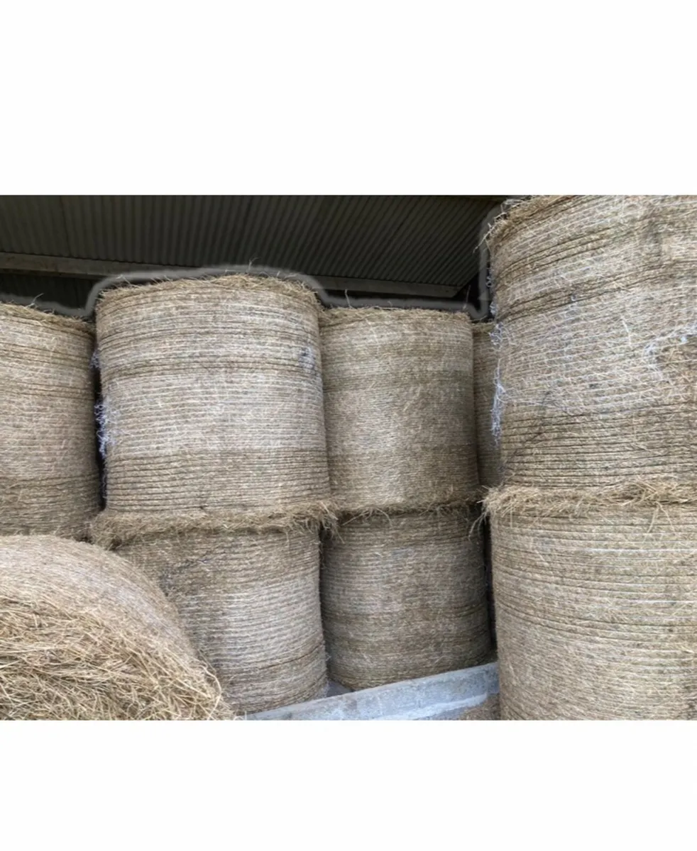 Hay for sale - Image 1