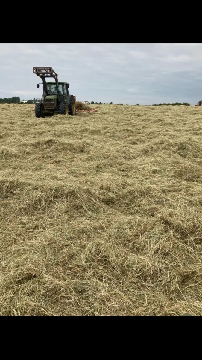 Hay for sale - Image 3