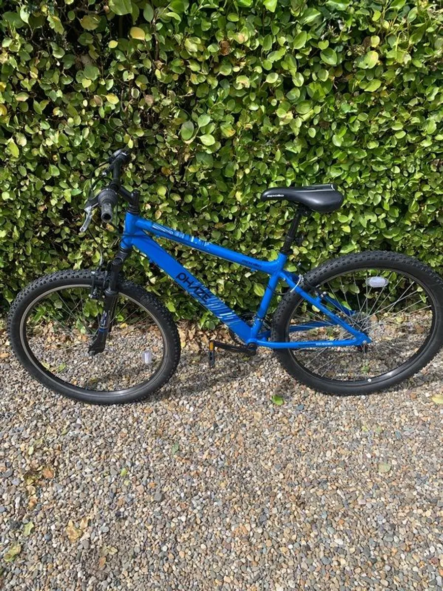 Mountain Bike - Image 1