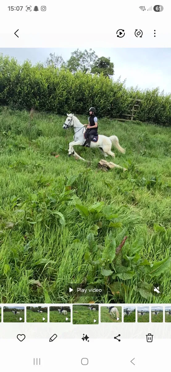Perfect first pony - Image 2