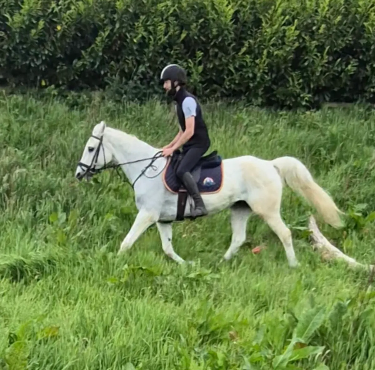 Perfect first pony - Image 3