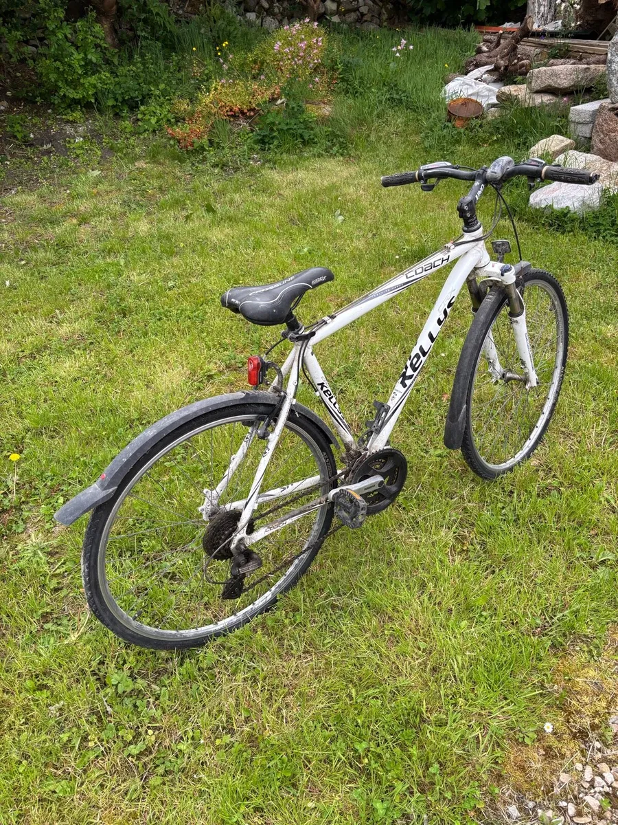Kellys Coach CRX Hybrid Bike - 21 Speed - Image 2